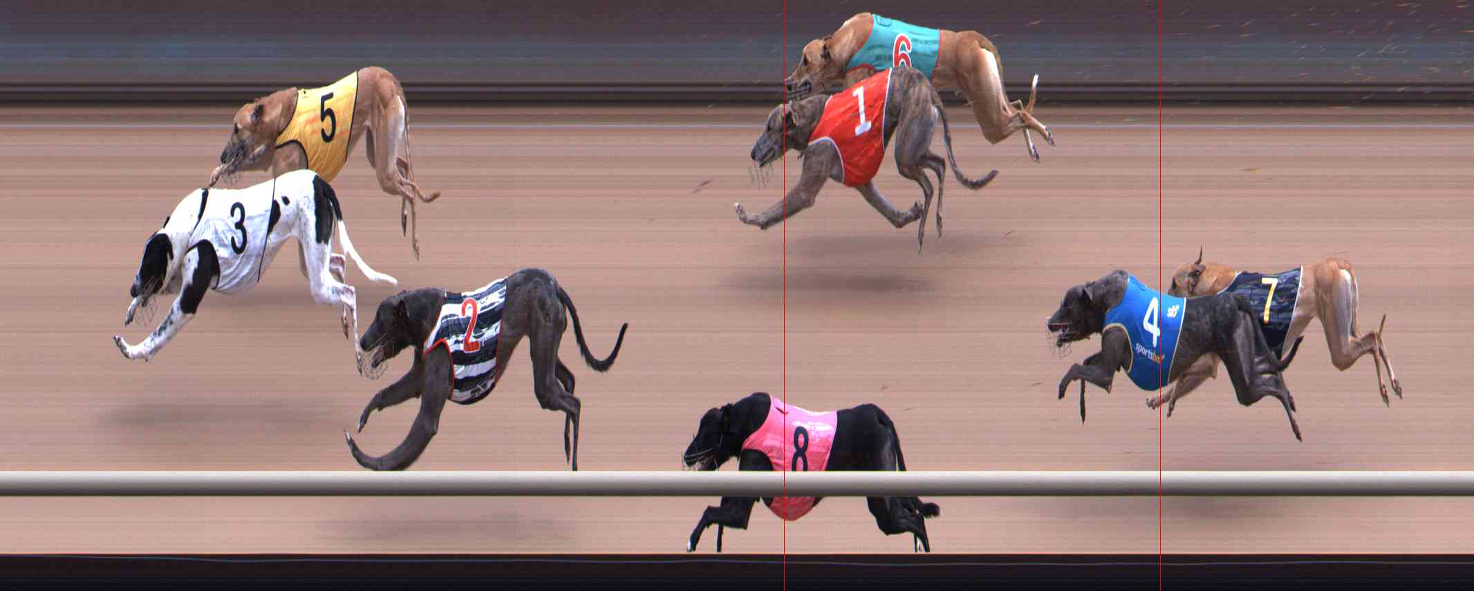 Race result finish photo